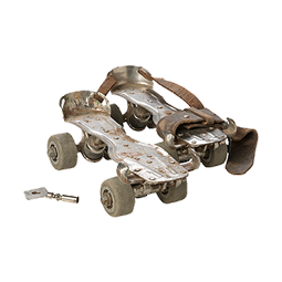 Roller Skates